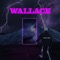 Chachi - LONZOO lyrics