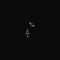 Best Intrest - QUIN lyrics
