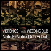 Vibronics meets Weeding Dub - Never Lie Down (feat. Madu Messenger)