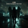 Angel Numbers / Ten Toes - Single