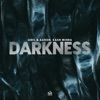 Darkness - Single