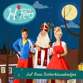 Juf Roos Sinterklaasliedjes artwork