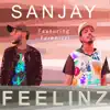 Feelinz (feat. Farenizzi) - Single album lyrics, reviews, download