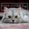 A Chilled Out Time - Piano Cats lyrics