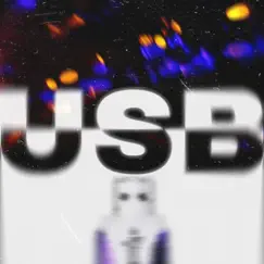 Usb - Single by $wiebel album reviews, ratings, credits