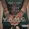 Vamos Aclarando Muchas Cosas (En Vivo) - Single