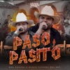 Paso A Pasito - Single