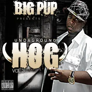 baixar álbum Big Pup - Undaground Hog Vol 2