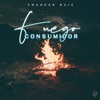 Fuego Consumidor - Single