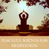 Peaceful Sounds for Meditation: Flute, Drums, Ocean Waves album lyrics, reviews, download
