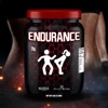 Endurance - Single