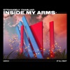 Inside My Arms - Single