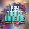 Psy Trance Universe, Vol. 3 - The Spirit of Goa