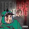 Teenage Dirtbag - Single album lyrics, reviews, download