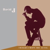 David J - Diamonds, Black Eyes and Valentines Blues