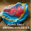 Zangpiet Pedro - Pietenmagie