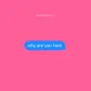 why are you here - Single album lyrics, reviews, download