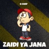 Zaidi Ya Jana - Single