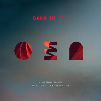 Back To You by Lost Frequencies, Elley Duhé & X Ambassadors song reviws