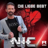 Die Liebe bebt artwork