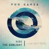 Hide the Sunlight (Lucas Lauer Remix) - Single album lyrics, reviews, download
