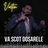 Va scot dosarele - Single