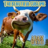 beautiful sublime - Single