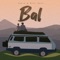 Bal cover