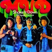 Shake It Down artwork