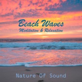 Beach Waves For Meditation & Relaxation artwork