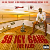 So Icy Gang: The ReUp artwork