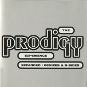 The Prodigy - Your Love (Remix) [Remastered]