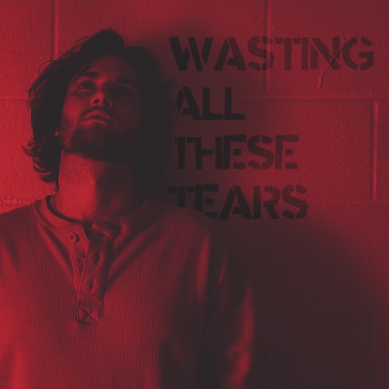 Cover artwork for Wasting All These Tears