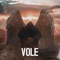 Vole (feat. ws) - DJ Fouzi lyrics