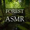 Forest ASMR for Relaxation and Deep Sleeping album lyrics, reviews, download