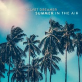 Summer In The Air artwork
