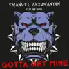 Gotta Get Mine (feat. Mr Maph) - Single album lyrics, reviews, download
