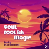 Soul Foolish Magic artwork