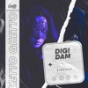 Digi Dam - Single