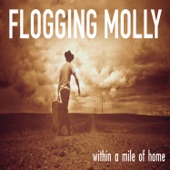 Flogging Molly - To Youth (My Sweet Roisin Dubh)