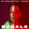 Budalo (feat. Fantom) - Single