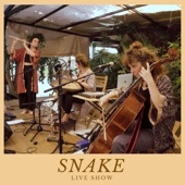 Snake (Live) artwork