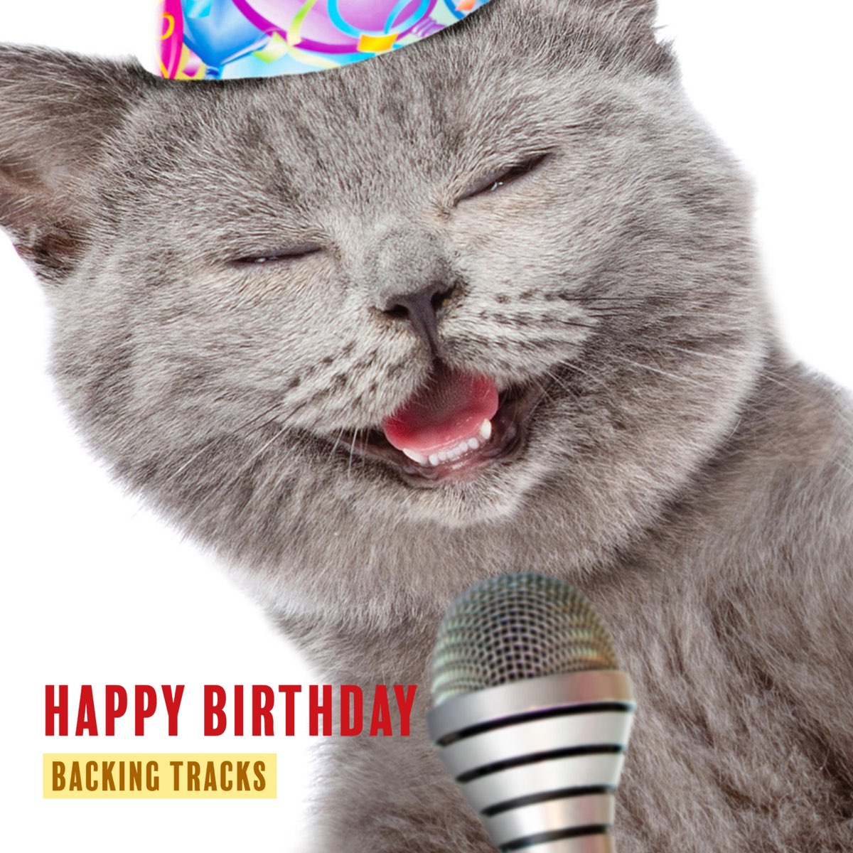 ‎happy Birthday Instrumental Backing Tracks De Tunepocket Music Library 