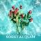 Sorat Al Qlam - ابراهيم الجرمي lyrics