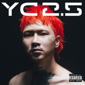 YC2.5 artwork