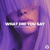 What Did You Say - Single