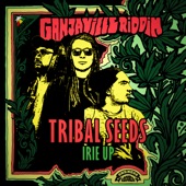 Tribal Seeds, Reggaeville - Irie up (Ganjaville Riddim)
