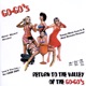 RETURN TO THE VALLEY OF THE GO-GO'S cover art