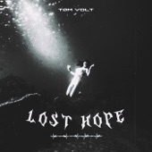 Lost Hope artwork