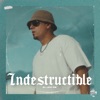 Indestructible - Single